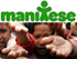 Logo ManiTese